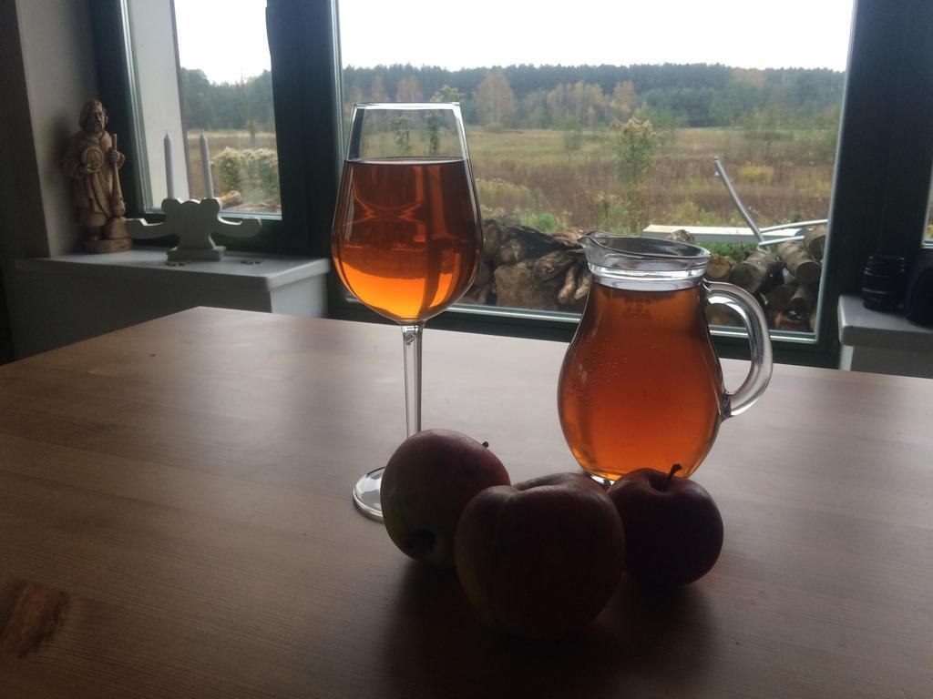 Chamedafne W Puszczy Kampinoskiej Brochow Экстерьер фото